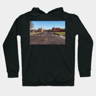 Why Did The Chicken Cross The Road.... Hoodie